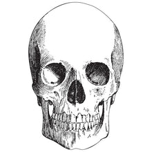 Load image into Gallery viewer, Skull Placemats
